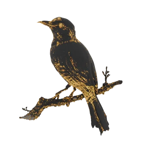 Um modelo 3D de um pássaro preto com salpicos dourados pousado em um galho texturizado, isolado em um fundo branco.