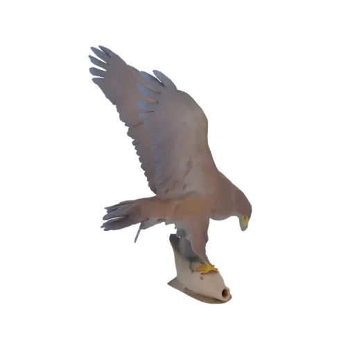 3D model of a brown eagle in flight, with wings spread, holding a fish in its talons against a white background.