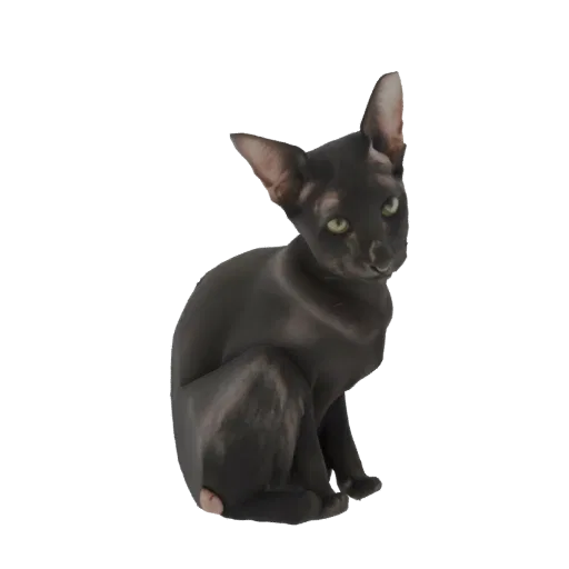 3D model of a black Oriental Shorthair cat sitting elegantly, with large ears and green eyes, against a white background.