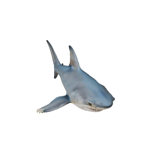 Modello 3D di Squalo Bianco per Unity - Asset Pronto per il Gioco, FBX