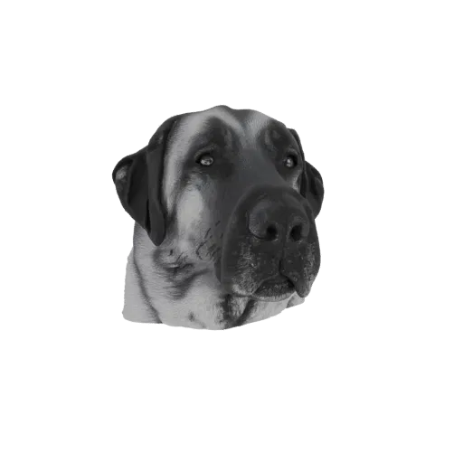 3D model portrait of a majestic Anatolian Shepherd dog, looking slightly to the side with a noble expression.