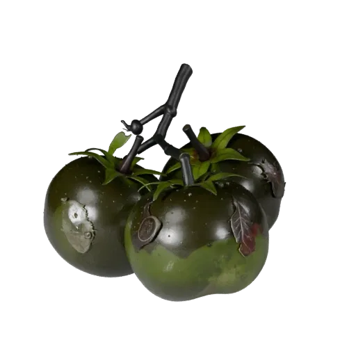 Organic Tomato Cluster Stylized 3D model, stylized isometric render, showing leaf veins, clear vegetable silhouettes.