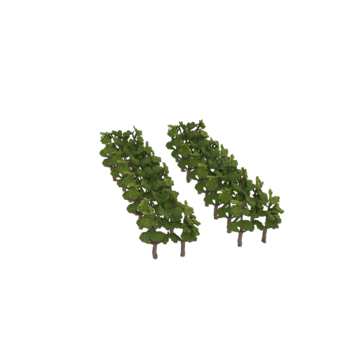 Two Grapevines