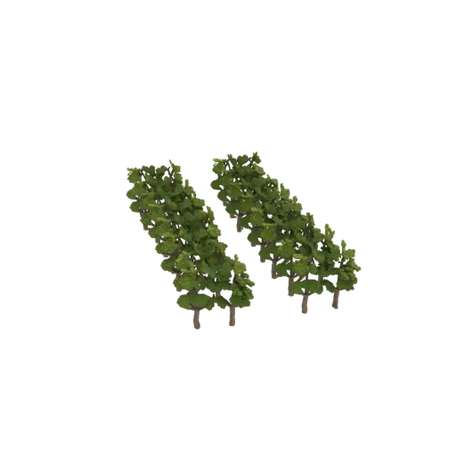 3D model of two leafless grapevines standing next to each other.