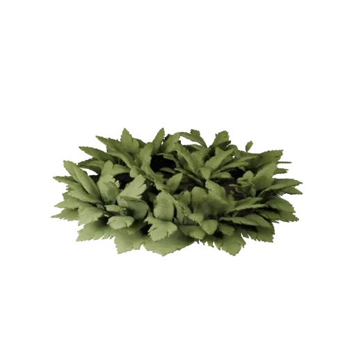 Fern Undergrowth Patch Realistic 3D model, three-quarter environment render, showing leaf clusters, terrain detail.