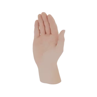 A realistic 3D model of a human hand, shown from the palm side with fingers slightly spread.