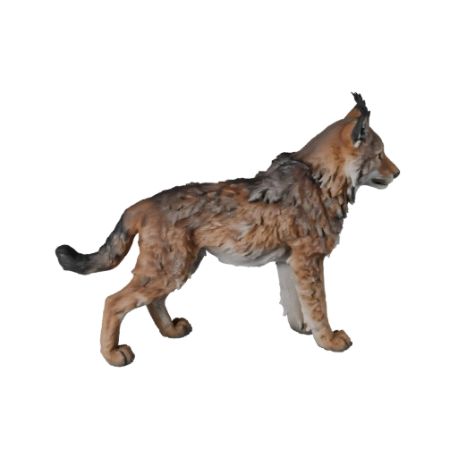 Modelo 3D de Lince Realista - Asset PBR Rigado para Jogos | Royalty-Free