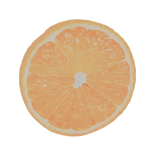 Orange Slice 3D Model