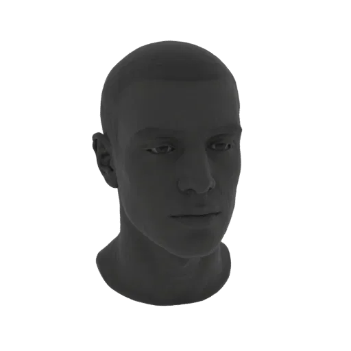 A realistic 3D model of a male head and neck, rendered in a neutral gray material against a white background.