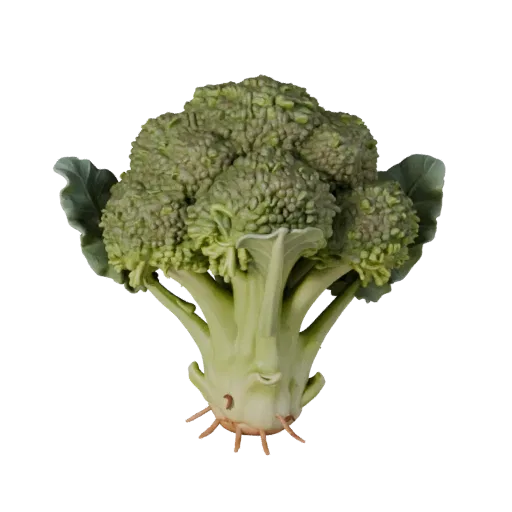 Garden Broccoli Head Product Viz 3D model, three-quarter studio product render, showing leaf veins, form detail.