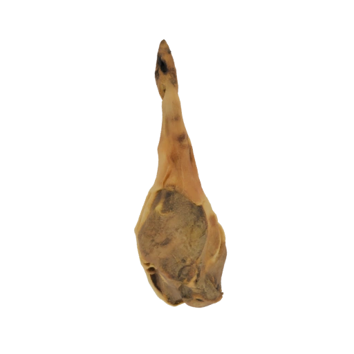 Aged Ham Hock with Bone