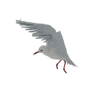 3D model of a white seagull in mid-flight, wings spread, with its beak slightly open and head turned to the side.