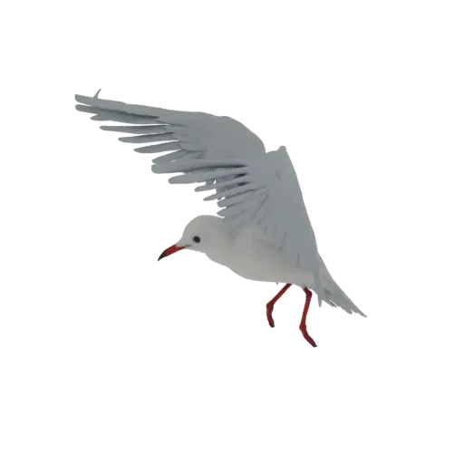 3D-Modell einer Weißmöwe im Flug, Flügel ausgebreitet, mit leicht geöffnetem Schnabel und seitlich gedrehtem Kopf.
