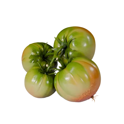 Modèle 3D de visualisation de produit Gros de Tomates Bio, rendu studio en trois quarts, montrant les nervures des feuilles,