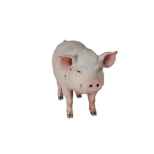 Realistic Pig 3D Model - Rigged PBR Asset for Games | Royalty-Free