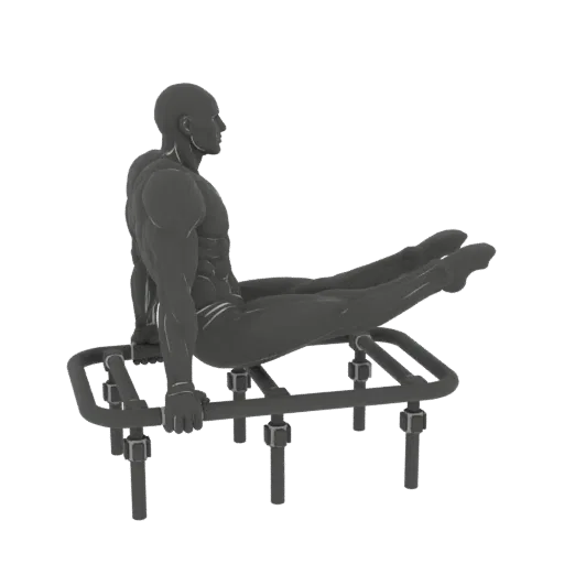 3D model of a muscular male athlete performing an L-sit on parallel bars, viewed from the side.