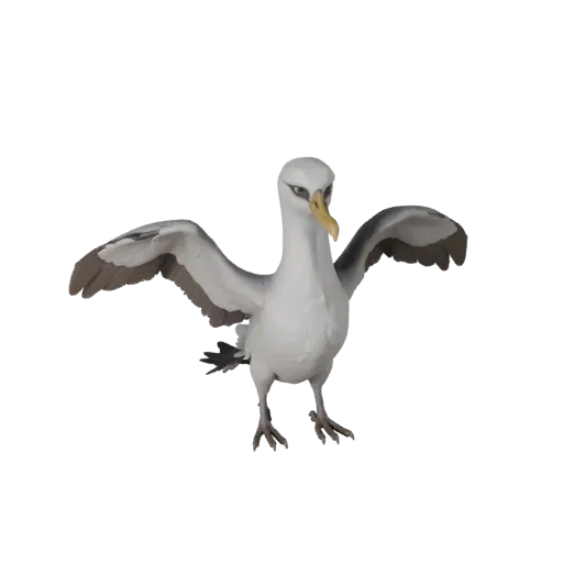 Modèle 3D d'Albatros réaliste, rendu de vie sauvage de profil, asset animal prêt pour l'animation avec direction des plumes,