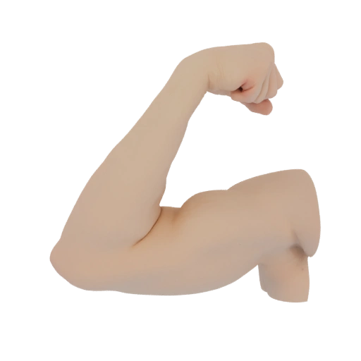 Flexing Bicep 3D Model