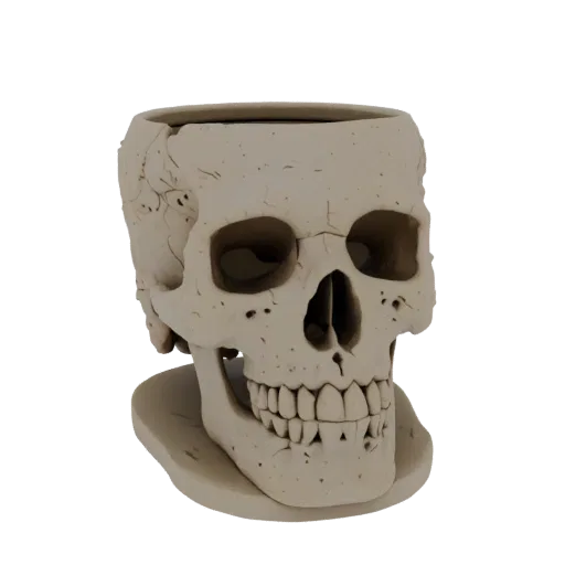 3D model of a detailed human skull planter with an open top and stable base