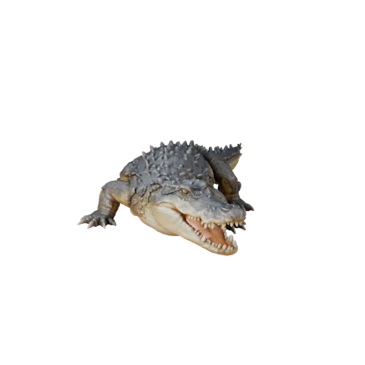 Realistisches Krokodil 3D-Modell - Rigged PBR Asset für Spiele | PBR