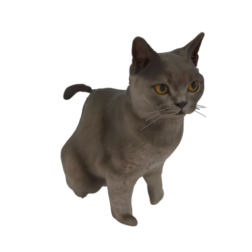 Burmese Cat Sitting 3D Model