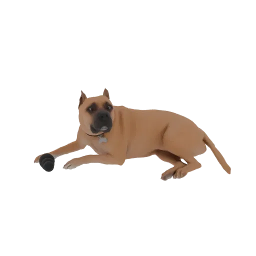 3D-Modell eines braunen Pitbull-Mischlings, liegend mit einem schwarzen Ball in den Pfoten, wachsam blickend.