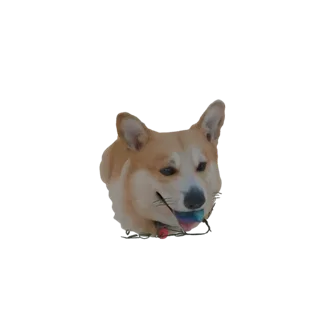 3D model of a Corgi dog with a colorful ball in its mouth and string lights around its head, looking forward.