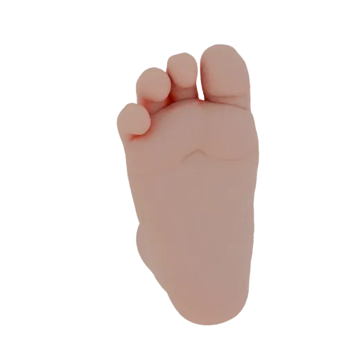 3D model of newborn baby foot with toes together, realistic skin texture
