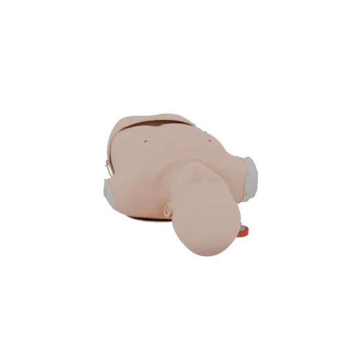Feld-CPR-Torso-Trainer 3D-Modell, Seitenprofilansicht, technischer Viewport-Render, zeigt neutrale Kunststoffe, Formdetails.