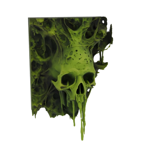 Toxic Skull Wall Plaque