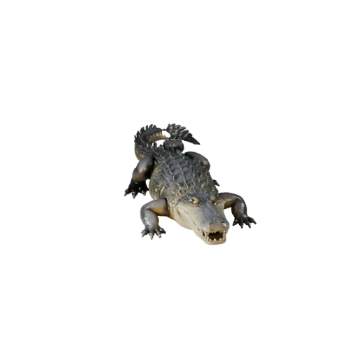 Modello 3D di Alligatore per Blender - Asset PBR con Texture | PBR