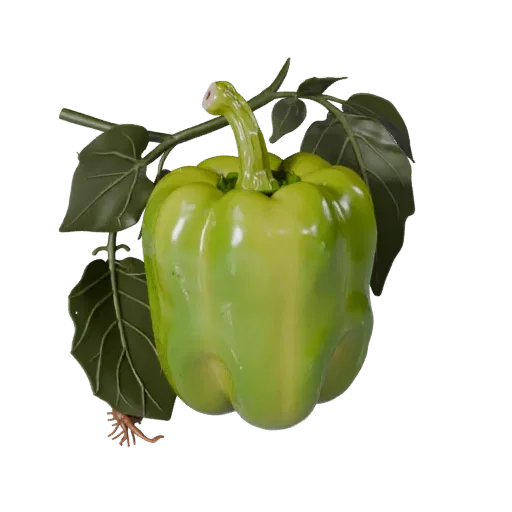Organic Bell Pepper Product Viz 3D model, three-quarter studio product render, showing leaf veins, form detail.