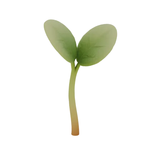 3D model of a realistic sprouting seedling with two green leaves on a white background