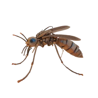 Stylized 3D model of a forest mosquito with blue eyes, brown body, and transparent wings, on a white background.