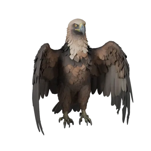 Realistic Vulture 3D Model - Rigged PBR Asset for Games | PBR
