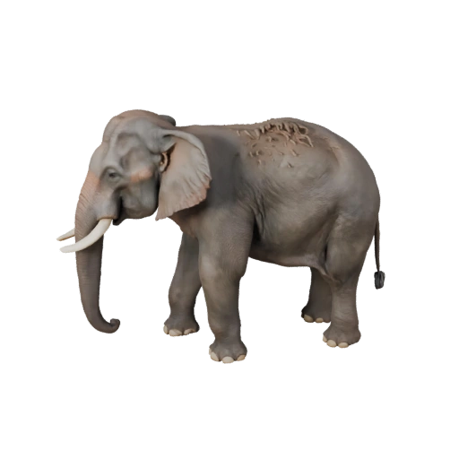 Modelo 3D de Elefante Asiático para Blender - Activo PBR con Texturas