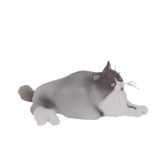 Fluffy Persian Cat 3D Model