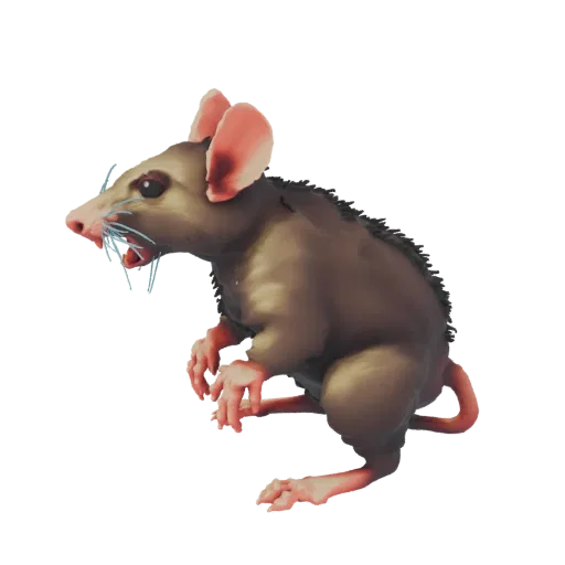3D model of an aggressive brown rat with sharp whiskers and bared teeth, shown in a dynamic pose against a white background.