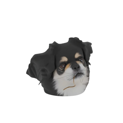 Charming Black and Tan Japanese Chin Dog Head 3D Model