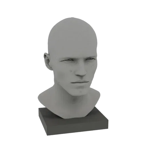 3D model render of a realistic male head bust with detailed facial features and a simple base, presented in a neutral gray ma