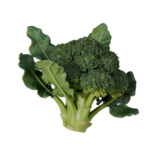 Garden Broccoli Head 3D model, three-quarter front view, Unity viewport, showing leaf veins, form detail.