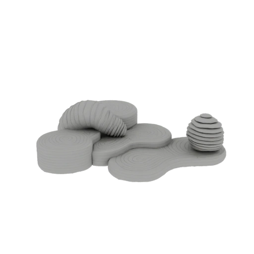 Abstract Organic Sculptural Display