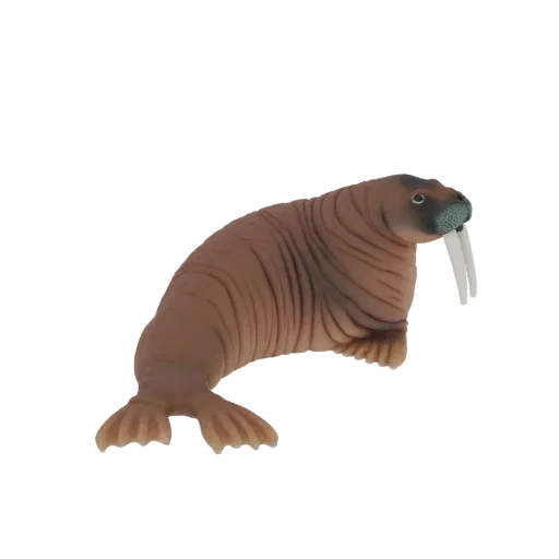 A detailed 3D model of a brown walrus with large white tusks, set against a white background.