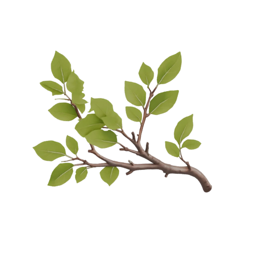 Green Leafy Branch