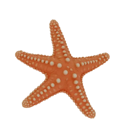 A detailed 3D model of a vibrant orange starfish with raised white bumps on its textured surface, set against a white backgro