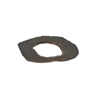 3D-Modell-Rendering eines organischen Rings mit rauer Kante, texturierter, erdiger Oberfläche und unregelmäßiger Form.