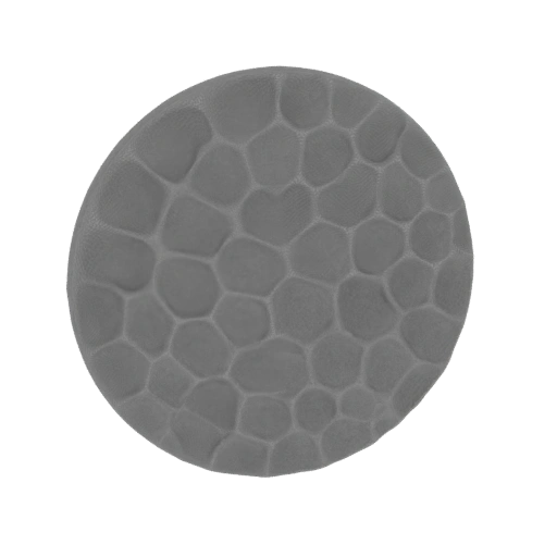 Stone Pavement Texture