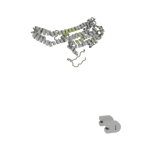 Abstract Protein Structure