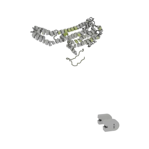 Rendu 3D d'une structure protéine abstraite avec des segments enroulés gris et des reflets vert citron, sur fond blanc.