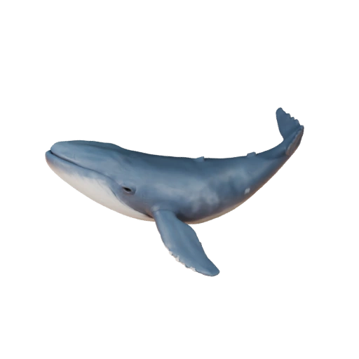 Modello 3D Balena Beluga per Blender - Asset PBR con Texture